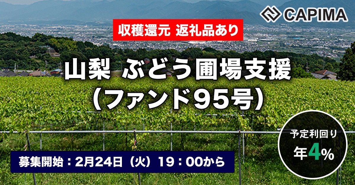 山梨 ぶどう圃場支援（ファンド95号）