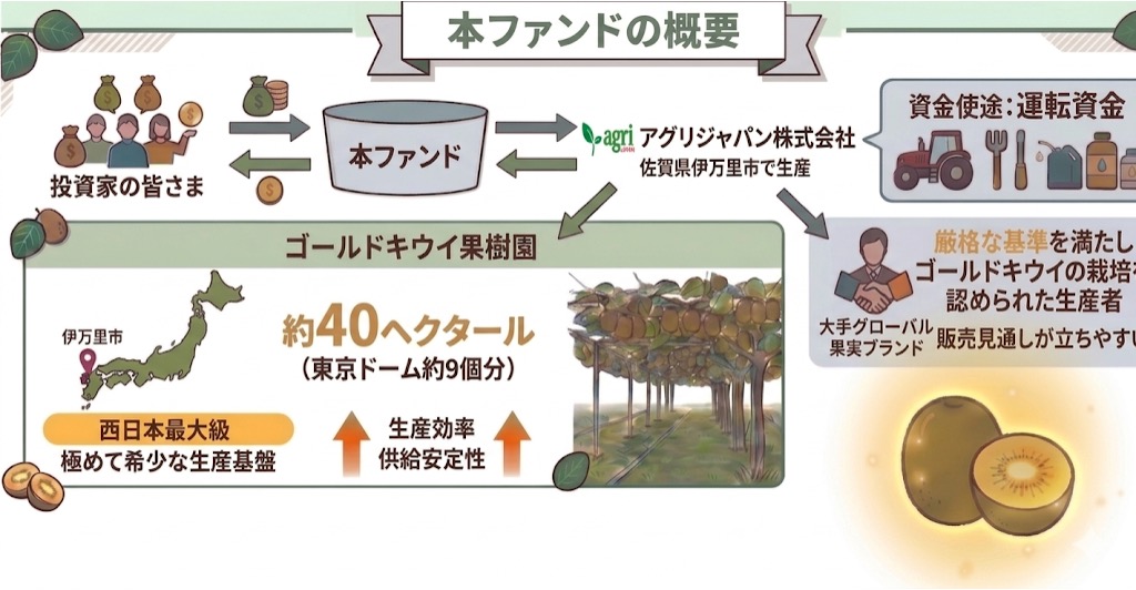 本ファンドの概要