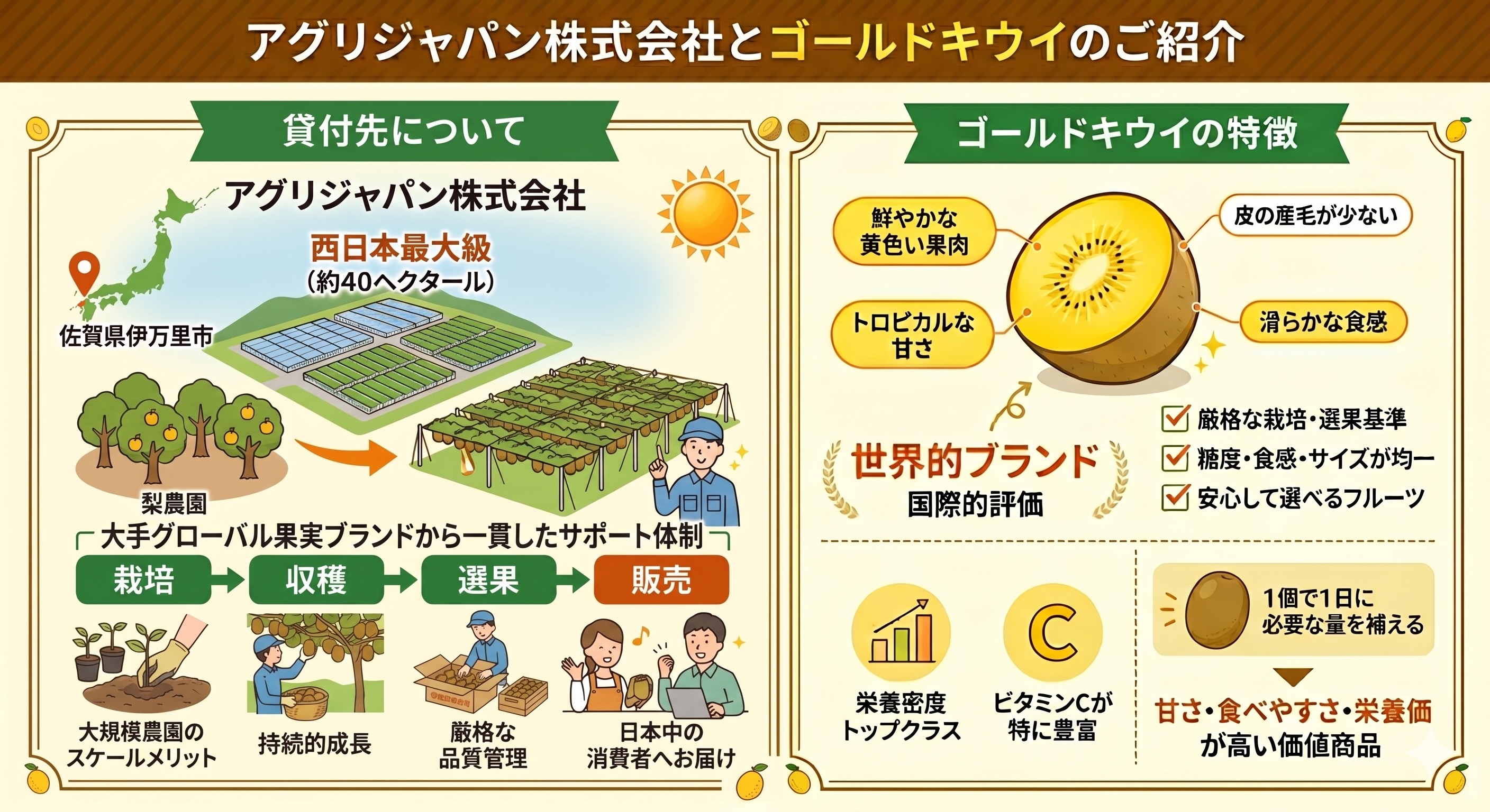 貸付先及びゴールドキウイについて