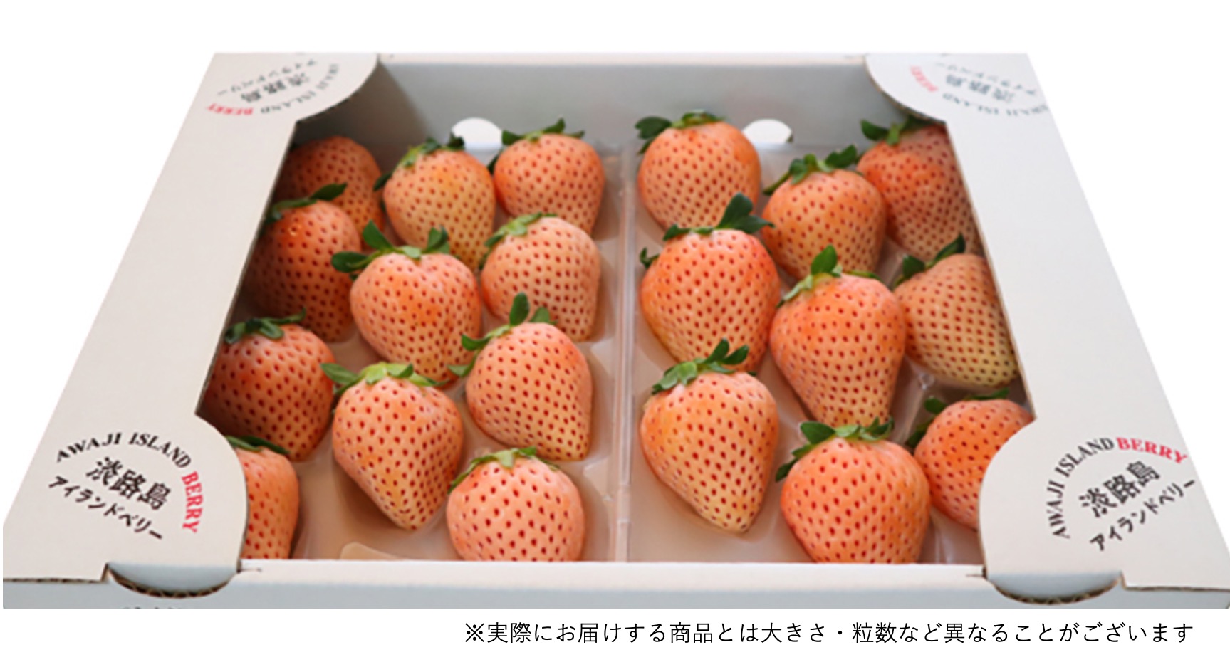 特別優待