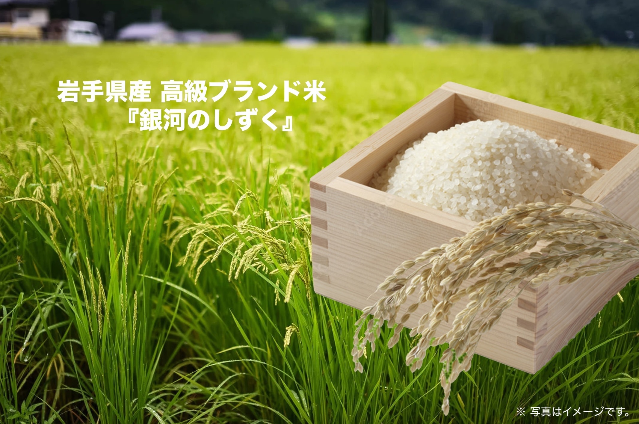特別優待について