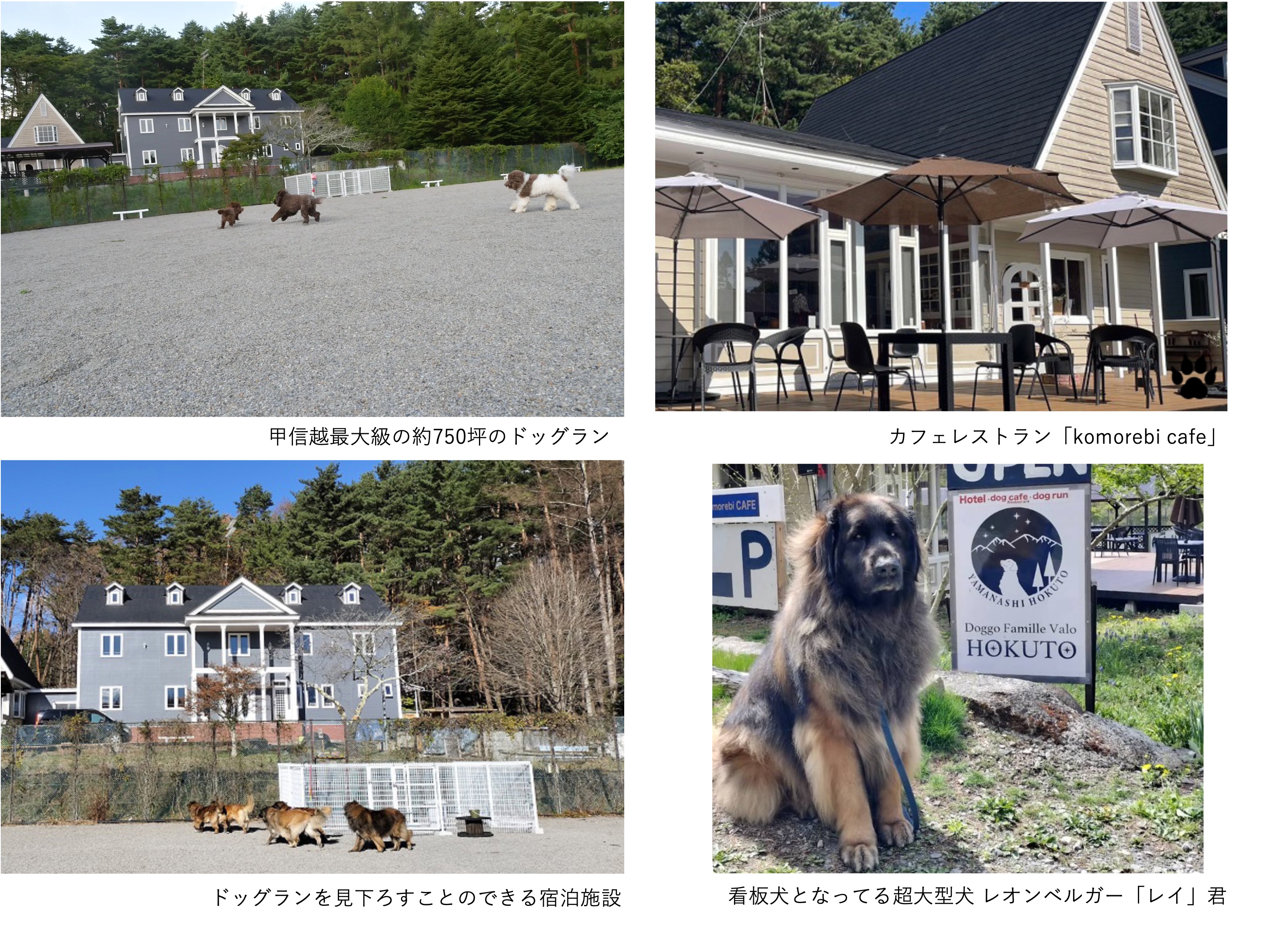 貸付先が運営する宿泊施設「Doggo Famille Vallo」について