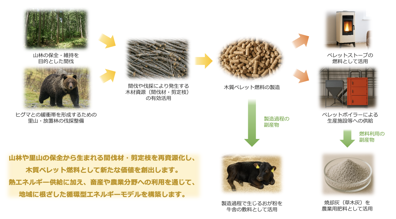 木質ペレット事業について