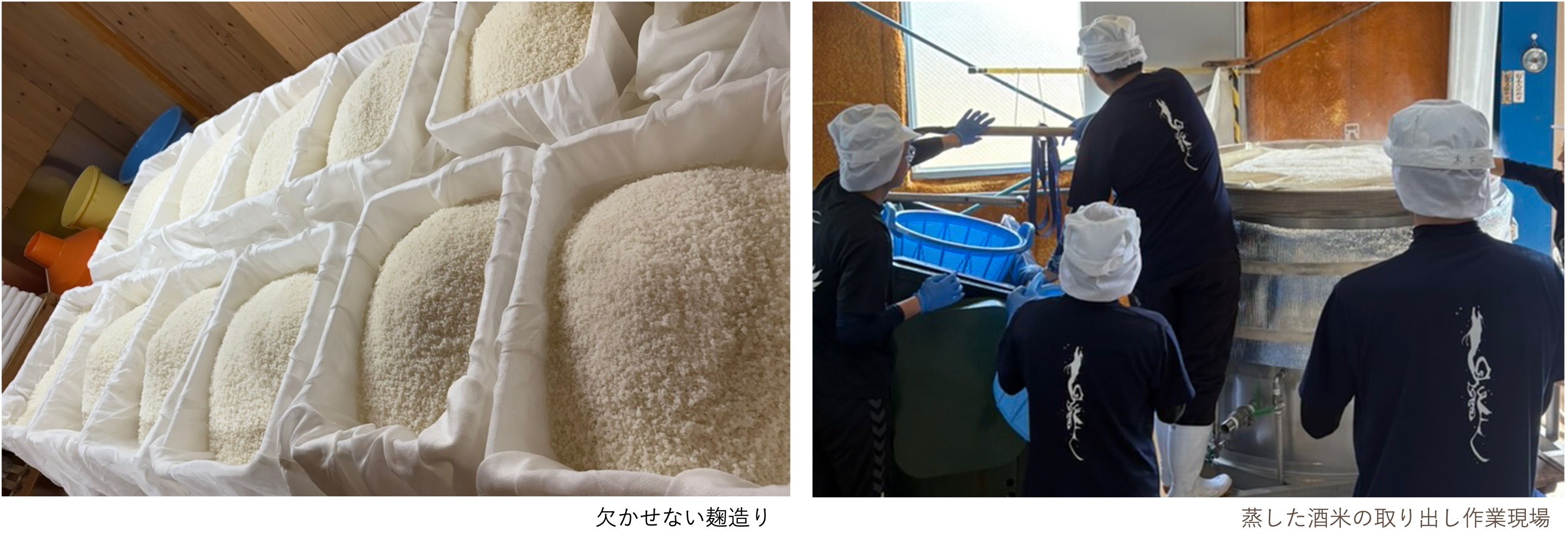 ユネスコの無形文化遺産に登録決定 日本の『伝統的酒造り』　